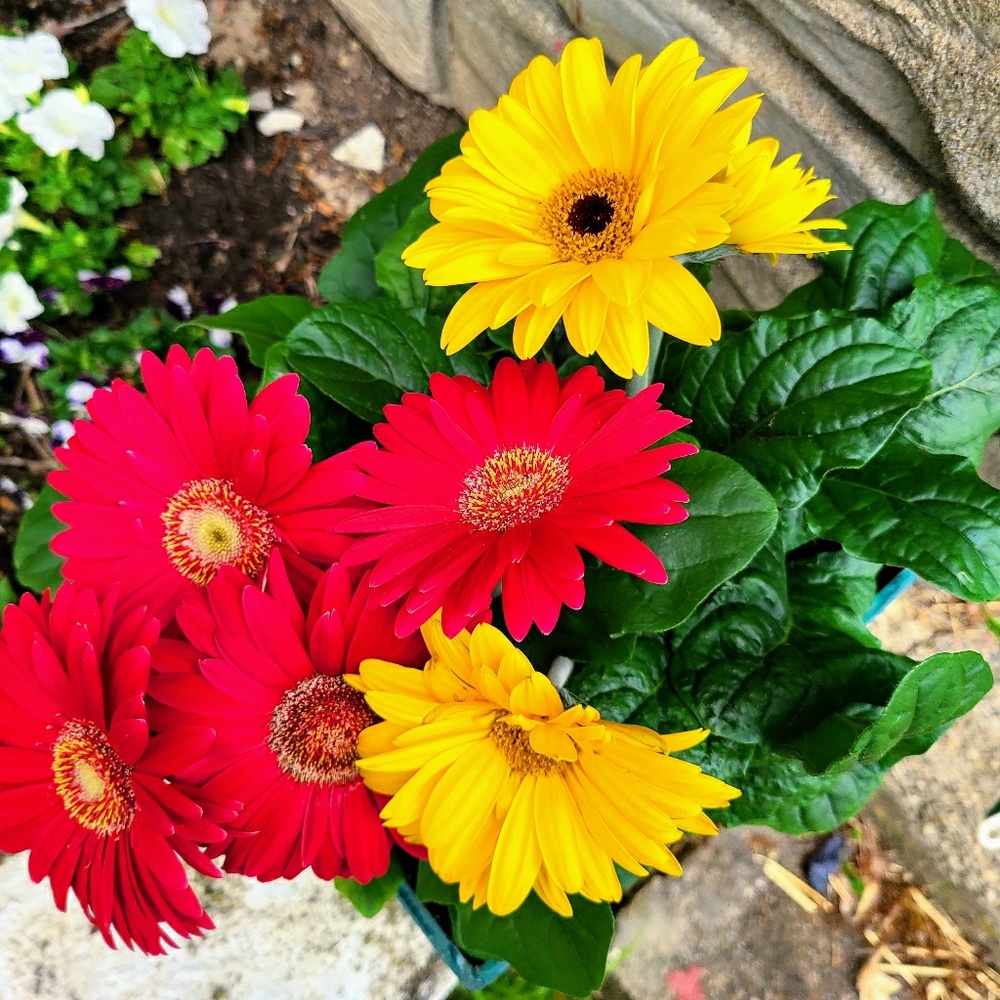 Meet your Posher, Leigh